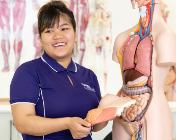 Nursing | Student with Anatomy Model | Think Education