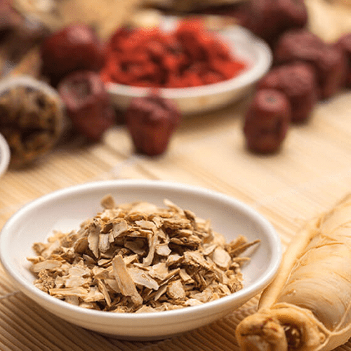 Southern School of Natural Therapies (SSNT) | Think Education